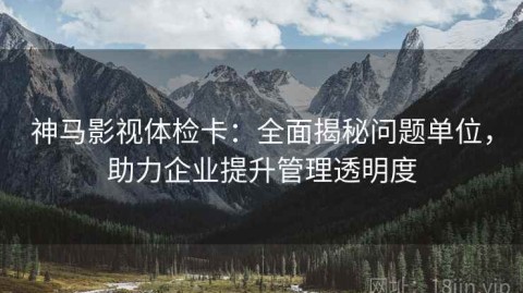 神马影视体检卡：全面揭秘问题单位，助力企业提升管理透明度