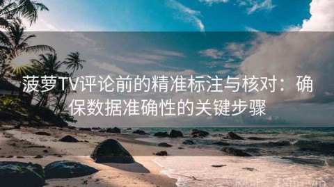 菠萝TV评论前的精准标注与核对：确保数据准确性的关键步骤