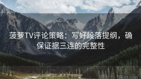 菠萝TV评论策略：写好段落提纲，确保证据三连的完整性
