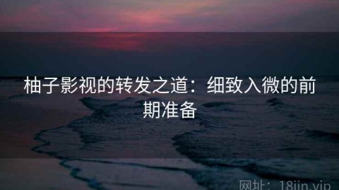 柚子影视的转发之道：细致入微的前期准备