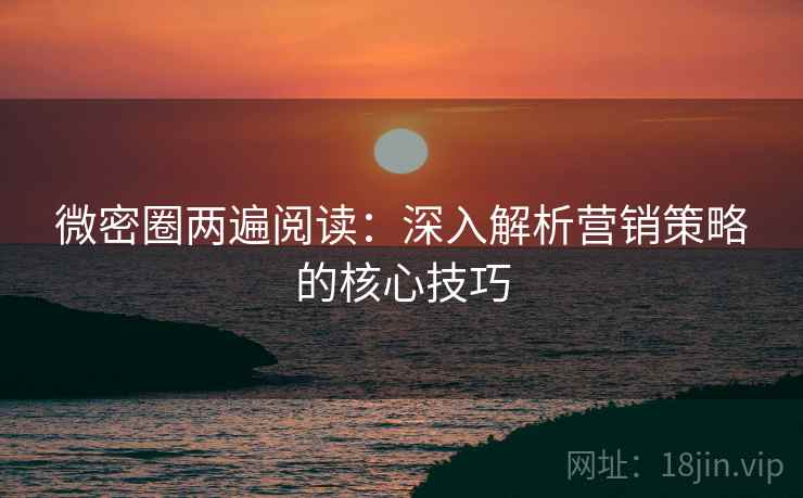 微密圈两遍阅读：深入解析营销策略的核心技巧