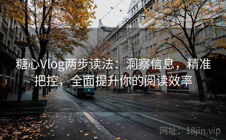 糖心Vlog两步读法：洞察信息，精准把控，全面提升你的阅读效率