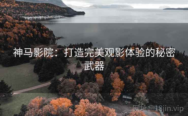 神马影院：打造完美观影体验的秘密武器